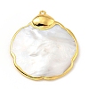 Natural Shell Pendants KK-G409-12G-3