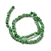 Natural Freshwater Shell Beads SHEL-B003-01E-2