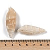 Natural Spiral Shell Beads SHEL-K009-17B-3