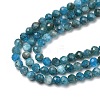 Natural Apatite Beads Strands G-G189-D16-02-4