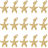 30Pcs Electroplated Alloy Charms FIND-SC0012-41-1
