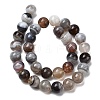 Natural Botswana Agate Beads Strands G-H334-A01-04-3