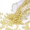 TOHO Round Seed Beads SEED-TR08-0948-1