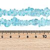 Transparent Glass Beads Strands GLAA-Z009-01E-4