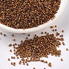 MIYUKI Delica Beads X-SEED-J020-DB0505-1