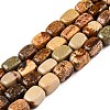 Natural Picture Jasper Beads Strands G-T138-93-4