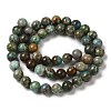 Natural Turquoise Beads Strands G-P506-04B-02-2