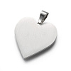 Tarnish Resistant 304 Stainless Steel Pendants LS-STAS-F214-02P-2