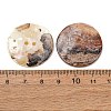 2-Hole Natural Akoya Shell Buttons SH-CBA1323-01B-2