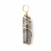 Natural Larvikite Pendants PALLOY-JF01453-05-2