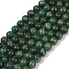Natural African Jade Beads Strands G-K091-8mm-3