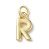 Rack Plating Brass Charms KK-P245-06G-R-1