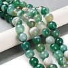 Natural Striped Agate/Banded Agate Beads Strands G-Z060-A01-C01-2