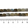 Natural Labradorite Beads Strands G-H087-D03-01-5