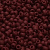 TOHO 6/0 Round Beads SEED-TR06-0046F-4