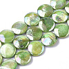 Freshwater Shell Beads Strands SHEL-S274-52B-1