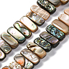 1 Strand Natural Paua Shell Beads Strands BSHE-PA0001-08-8