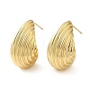 Rack Plating Brass Shell Shape Stud Earrings for Women X-EJEW-Z019-20G-1