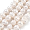 Natural Cultured Freshwater Pearl Beads Strands PEAR-C003-14C-1
