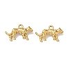304 Stainless Steel Pendants X-STAS-I367-09G-1