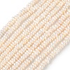 Natural Cultured Freshwater Pearl Beads Strands PEAR-C004-05-2