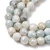 Electroplated Natural Flower Amazonite Beads Strands G-B191-A03-6mm-3