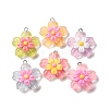 Transparent Resin Pendants RESI-A046-05A-2