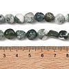 Natural Tree Agate Beads Strands G-D362-A02-5