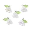 5Pcs Transparent Acrylic Pendants PALLOY-JF04703-02-1