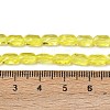 Transparent Glass Beads Strands GLAA-Z018-C24-4