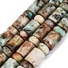 Natural Chrysocolla and Lapis Lazuli Beads Strands G-Q616-09I-2