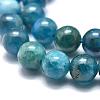 Natural Apatite Beads Strands G-O186-E02-6mm-2