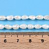 Natural Cultured Freshwater Pearl Beads Strands PEAR-N014-04G-5