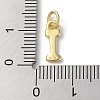 Rack Plating Brass Charms KK-P245-06G-I-3