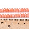 Natural Freshwater Shell Beads Strands SSHEL-C013-07A-4