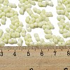 Macaron Color Opaque Frosted Glass Seed Beads X1-SEED-K009-12B-15-4