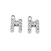 304 Stainless Steel Charms X-STAS-N095-137M-1