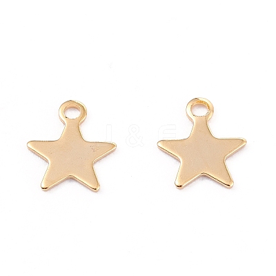 201 Stainless Steel Charms X-STAS-B001-14A-G-1