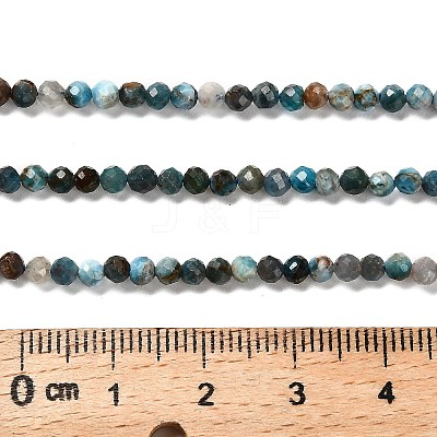 Natural Apatite Beads Strands G-RM2025-36-3mm-1