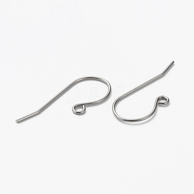 Tarnish Resistant 304 Stainless Steel Earring Hooks X-STAS-L253-004P-1
