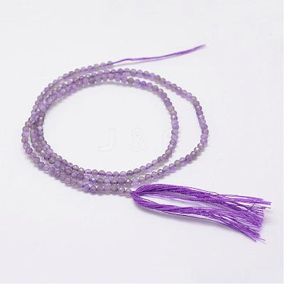 Natural Amethyst Beads Strands G-E347-09-1