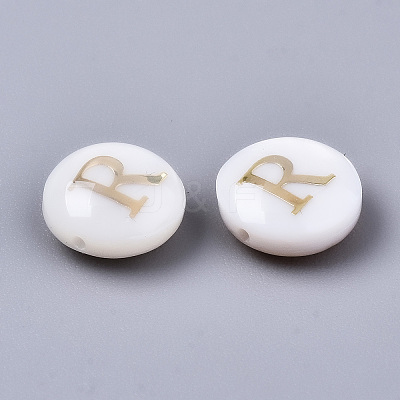 Natural Freshwater Shell Beads SHEL-S266-12R-1