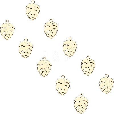 304 Stainless Steel Charms STAS-UN0020-59G-1
