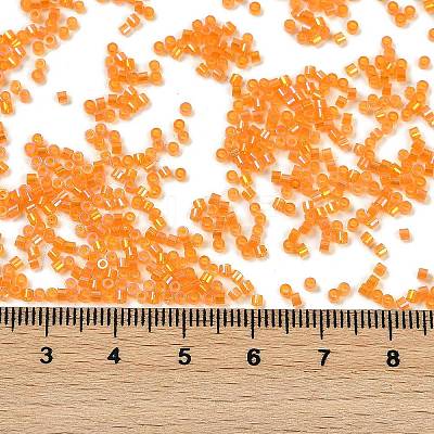 Electroplate Glass Seed Beads SEED-H003-10H-1