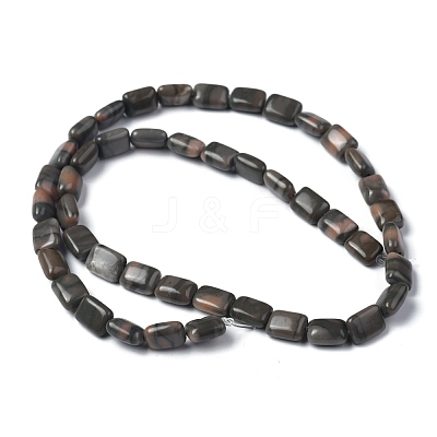 Natural Red Zebra Jasper Beads Strands G-Z006-B06-1