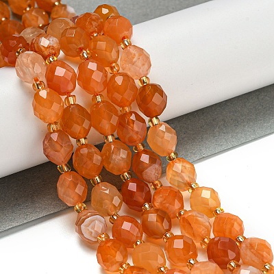 Natural Orange Botswana Agate Beads Strands G-N342-45-1