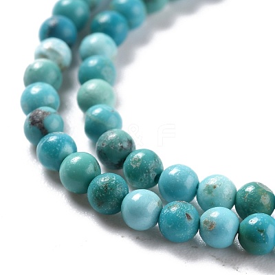 Natural HuBei Turquoise Beads Strands G-K312-25D-1