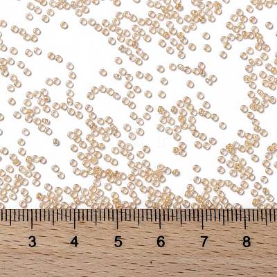 MIYUKI Round Rocailles Beads X-SEED-G009-RR0282-1