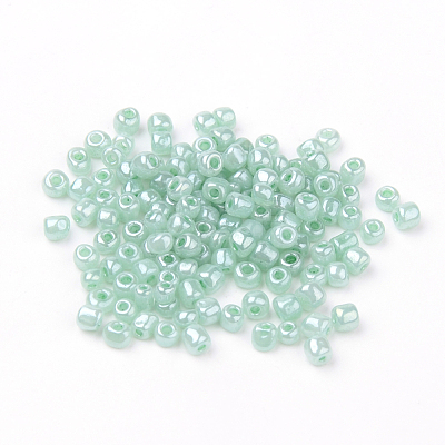 20G Glass Seed Beads SEED-ZF0001-03B-1