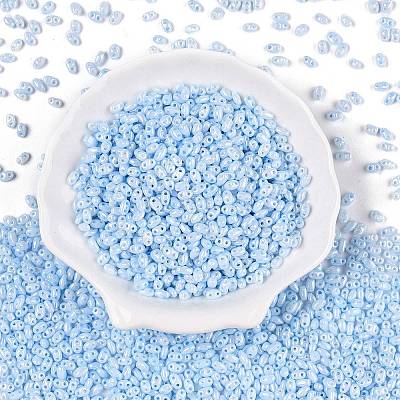 Opaque Colours Luster Glass Seed Beads SEED-T006-02B-1